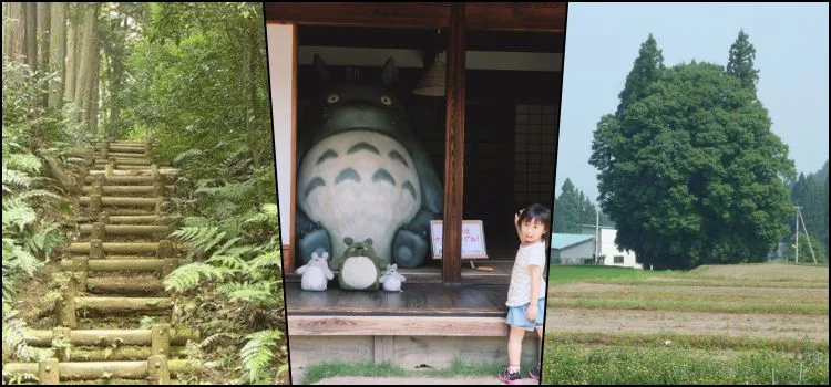 Conheça o mundo de Totoro no Japão Vivendo o mundo real de Totoro no Japão