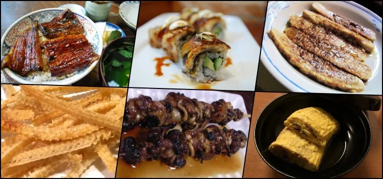 Unagi - Enguias de água doce na culinária japonesa Unagi - Enguias de água doce na culinária japonesa