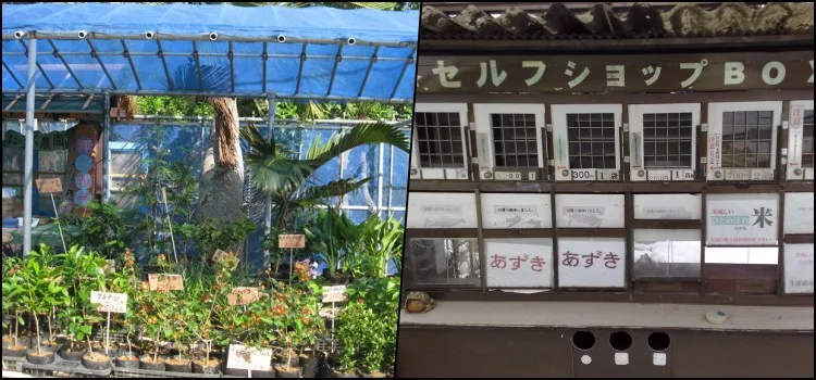 Mujin Hanbai - Bancas de feira sem vendedores no Japão