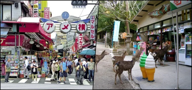 Japan VS United States - A Comparison of Morality