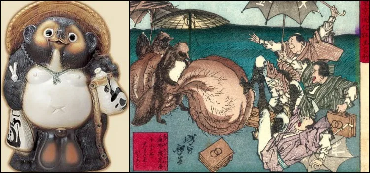 Tanuki - Der japanische Waschbärhund
