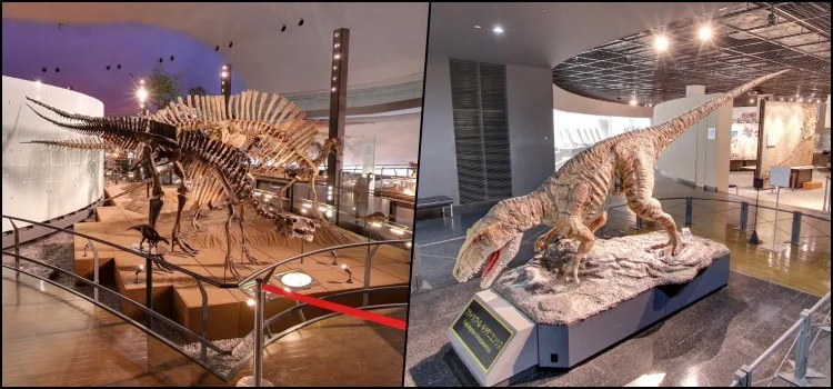 O museu dos dinossauros de Fukui - Japão