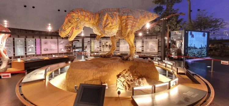 O museu dos dinossauros de Fukui - Japão O museu dos dinossauros de Fukui - Japão