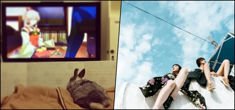 Os Hilários e Bizarros Comerciais Japoneses da TV