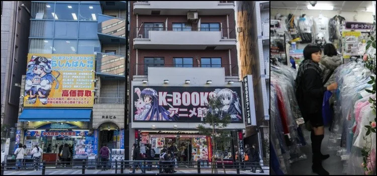 Otome não é feminino de Otaku! Como surgiu o termo? Otome não é feminino de Otaku! Como surgiu o termo?