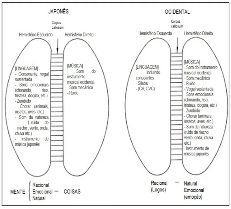 Diferenças entre o cérebro e pensamento japonês e ocidental