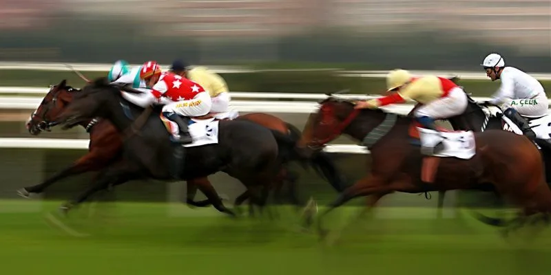 Apostas legais em corridas no Japão Corrida de cavalos usada para apostas legais no Japão