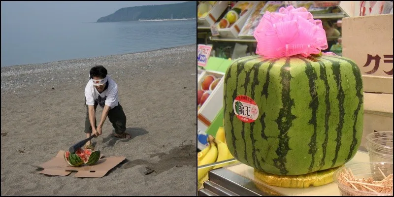 Melancia quadrada do Japão – Curiosidades e sucesso A melancia quadrada e as frutas mais caras do Japão