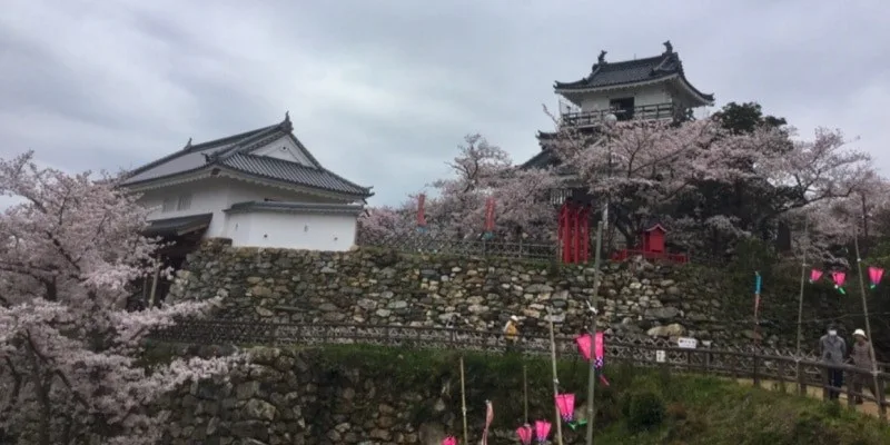 Castelo de Hamamatsu com cerejeiras Castelo de Hamamatsu com cerejeiras durante passeio gratuito no Japão