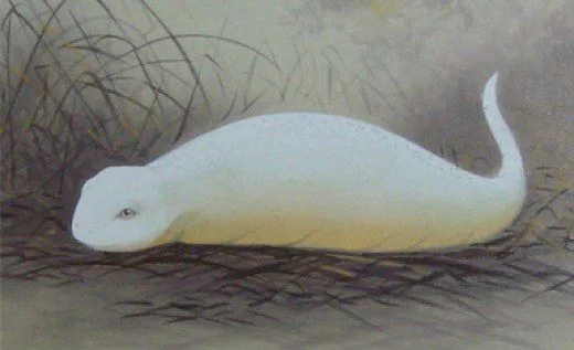 Tsuchinoko - Yokai que parece uma serpente gorda Tsuchinoko - Yokai que parece uma serpente gorda