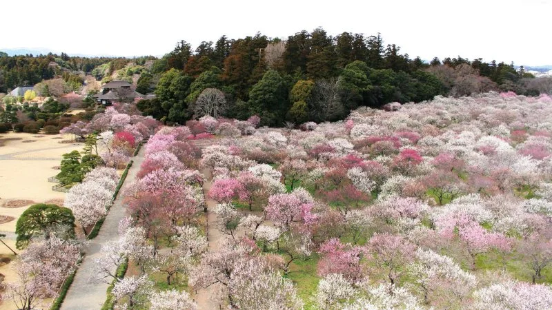 Kenrokuen, Korakuen e Kairakuen - Os 3 Grandes Jardins do Japão Kenrokuen, Korakuen e Kairakuen - Os 3 Grandes Jardins do Japão