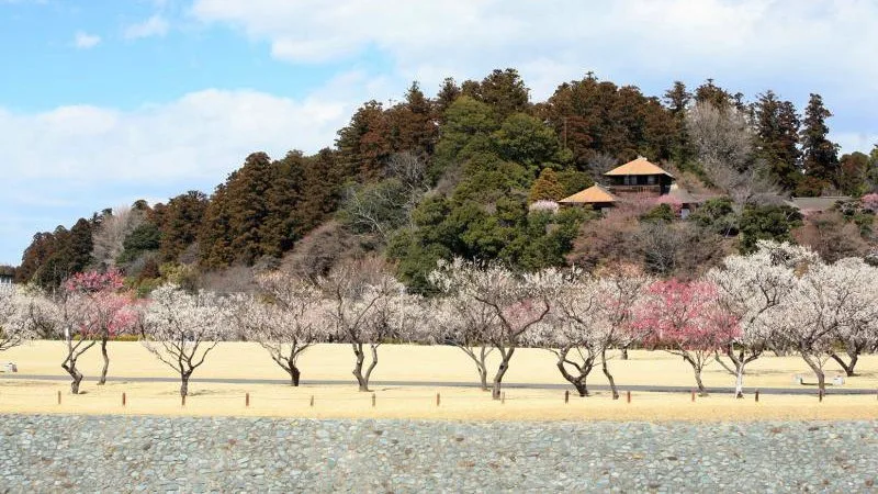 Kenrokuen, Korakuen e Kairakuen - Os 3 Grandes Jardins do Japão Kenrokuen, Korakuen e Kairakuen - Os 3 Grandes Jardins do Japão
