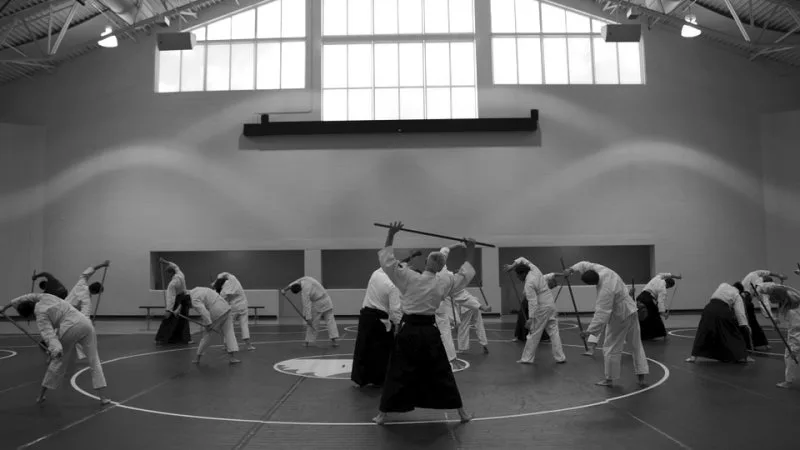 Aikido - O caminho da Unificação Aikido - O caminho da Unificação