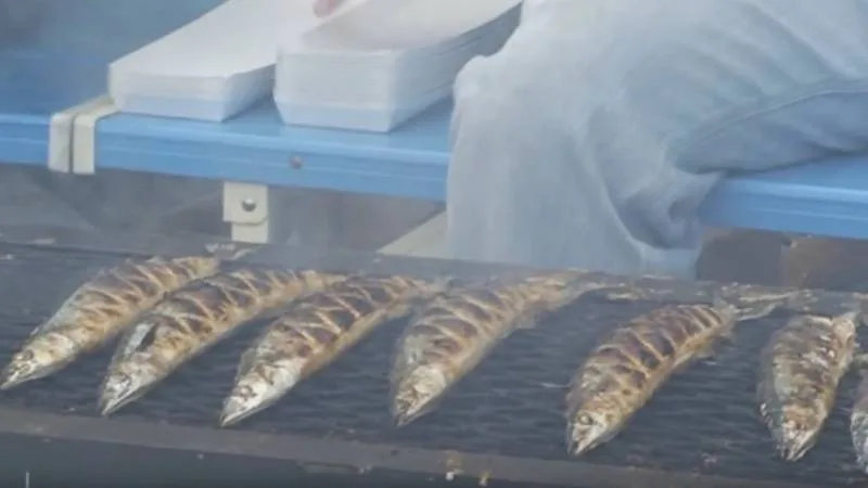 Os 10 Tipos de peixes mais consumidos no Japão Os 10 Tipos de peixes mais consumidos no Japão