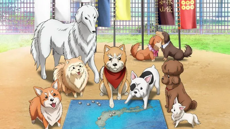 Animes com animais, cachorros e gatos Animes com animais, cachorros e gatos