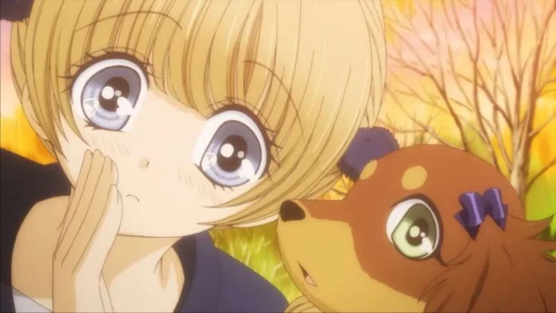 Animes com animais, cachorros e gatos Animes com animais, cachorros e gatos