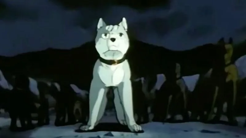 Animes com animais, cachorros e gatos Animes com animais, cachorros e gatos