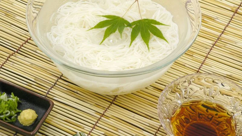 15 tipos de macarrão Japonês tipo de macarrão japonês - hiyamugi