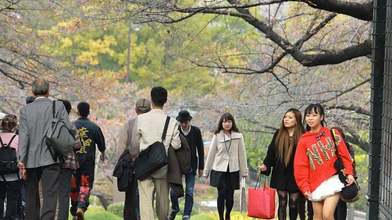 Parque japonês usado como exemplo de contato com cultura e idioma