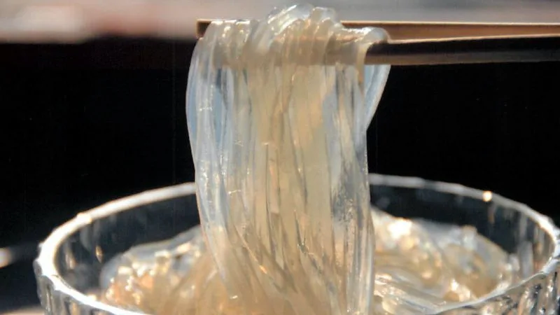 Tokoroten, macarrão de gelatina de algas Tokoroten servido frio com textura gelatinosa de algas