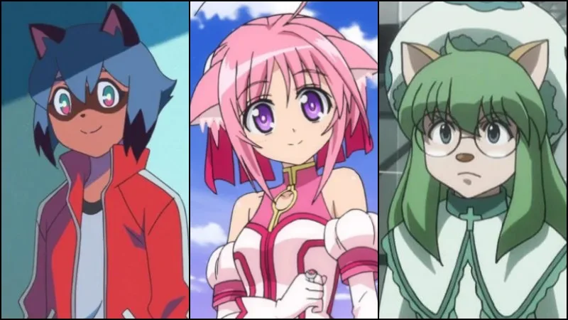 Nekomimi - Personagens com orelhas de gatos Nekomimi - Personagens com orelhas de gatos