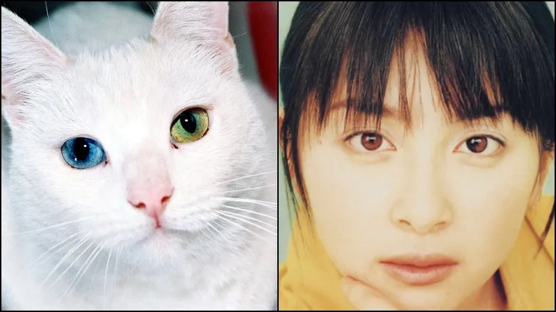Heterocromia nos Animes - Personagens com olhos diferentes
