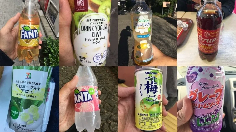 Lista de Pratos Japoneses - O que eu comi no Japão?