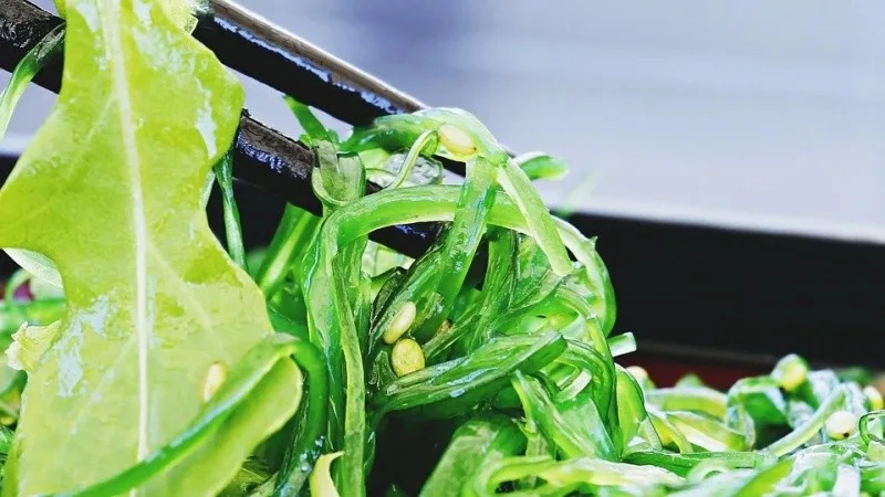 Wakame - A Alga Japonesa e seus benefícios Wakame - A Alga Japonesa e seus benefícios