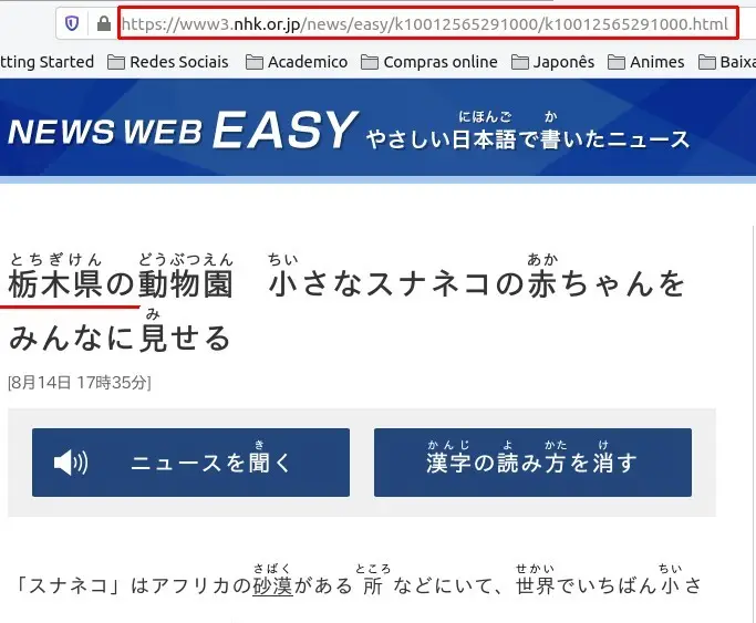 Usando o NWE para Estudar Japonês com ANKI Usando o NWE para Estudar Japonês com ANKI