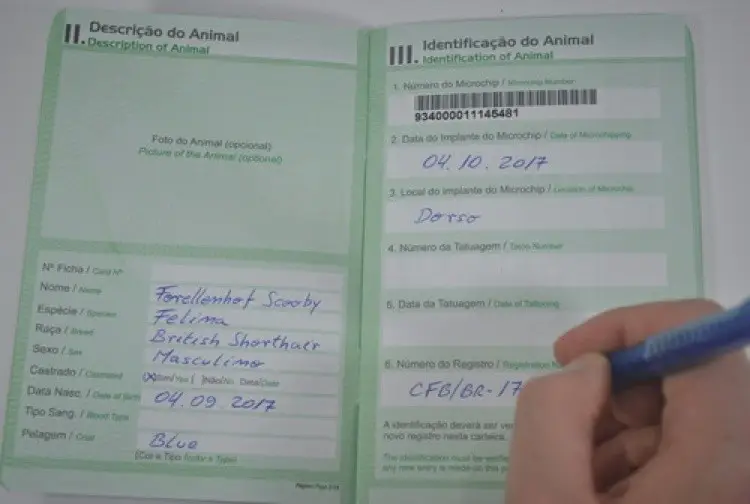 Cartilla de vacunación para viajar con animales a Japón