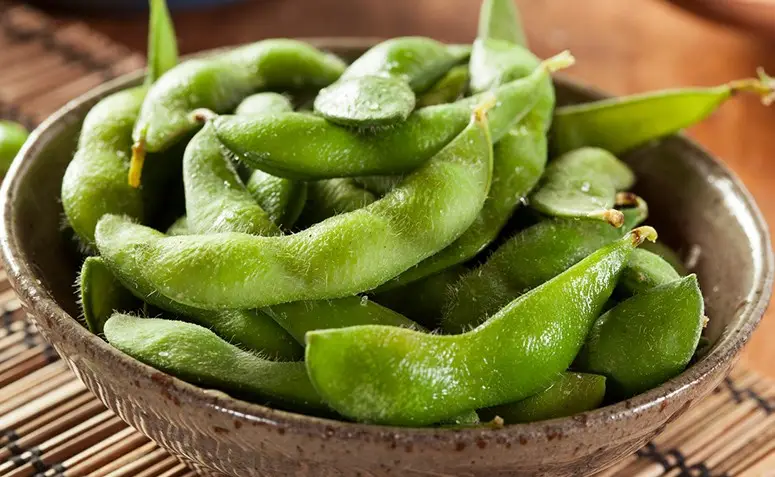 Edamame - Ramo de Feijão Japonês