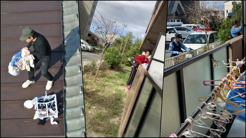 Por que os Japoneses Roubam Calcinhas?