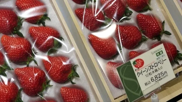 Kotak kayu stroberi Queen Sembikiya, 12 buah, berlabel 6.825 yen termasuk pajak