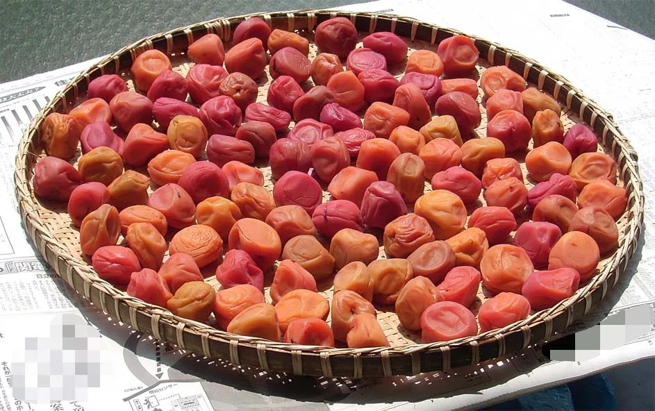 Umeboshi, a ameixa japonesa em conserva
