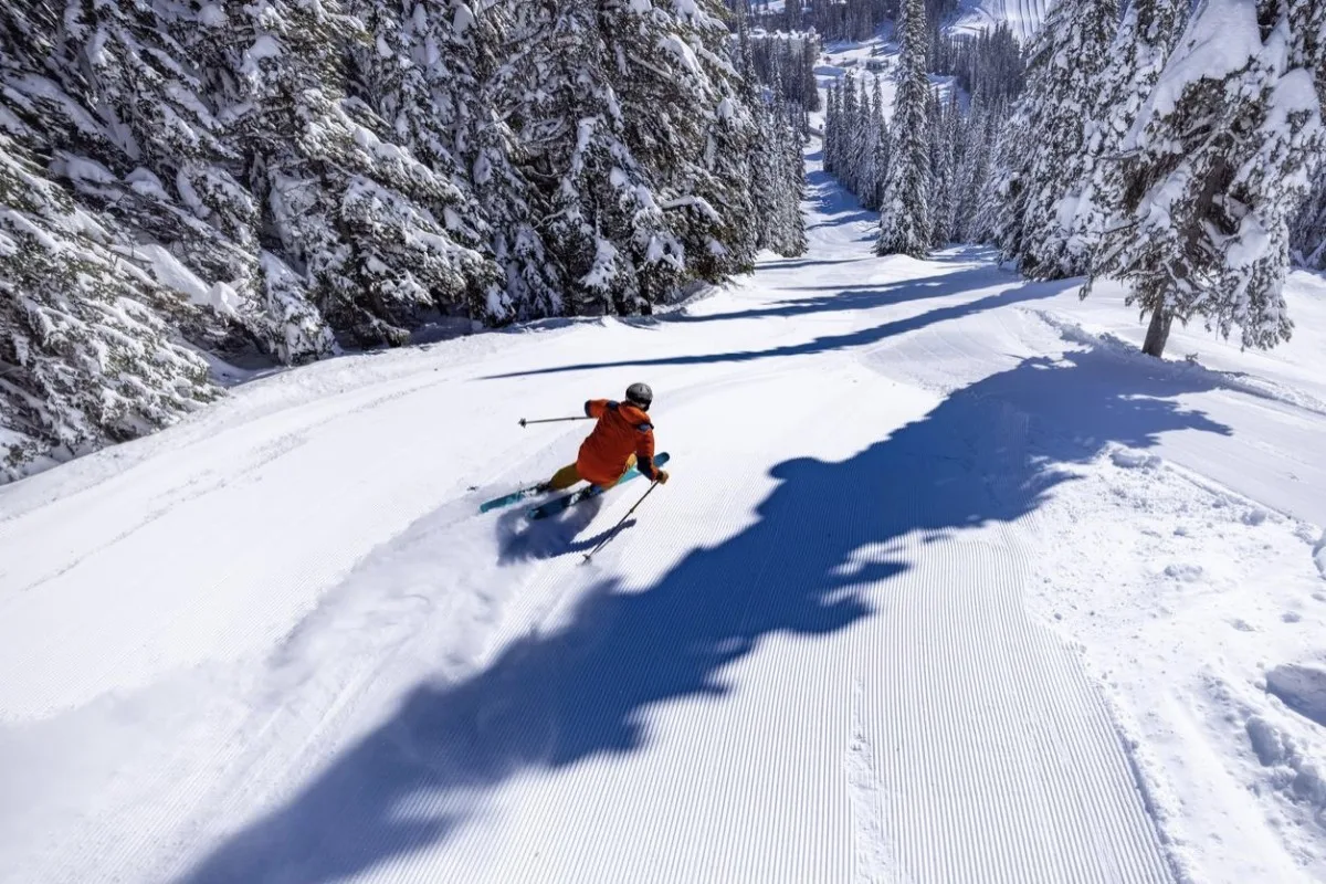 - Saiba onde praticar ski e snowboard no Japão