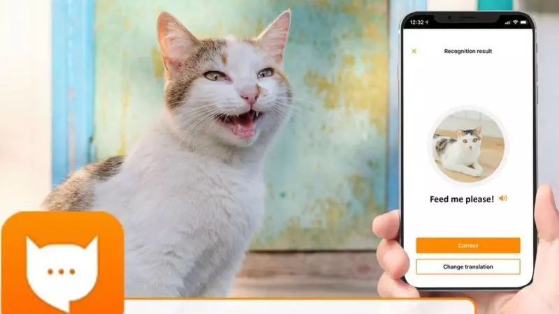MeowTalk 앱 화면 — 고양이의 야옹 소리를 인공지능으로 분석하는 인터페이스