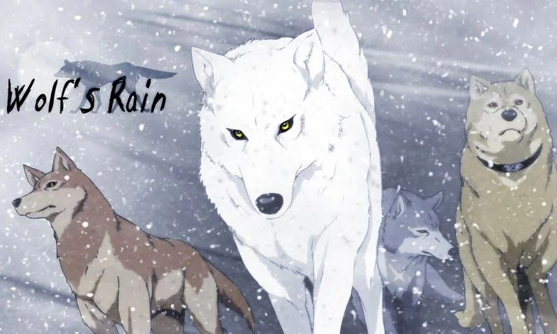 Wolf's Rain — 눈보라 속을 달리는 네 마리 늑대