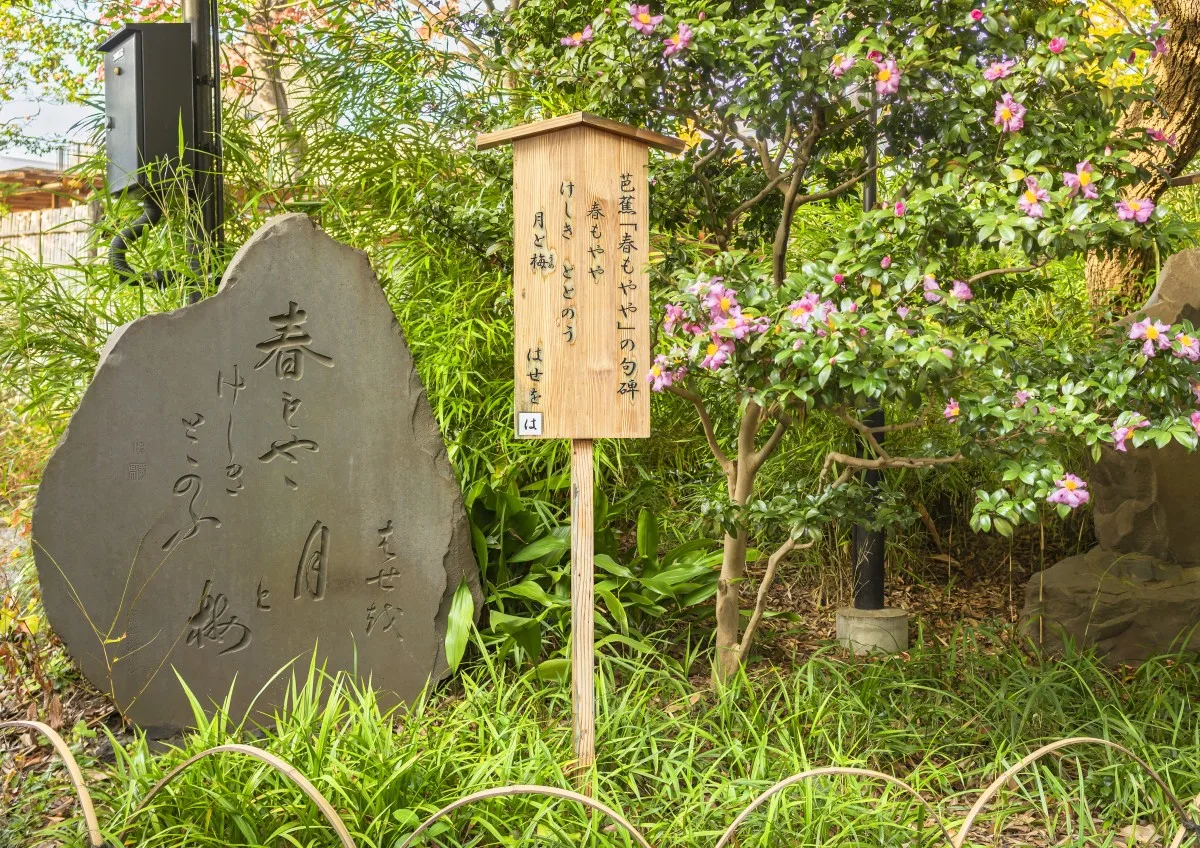 Generador de Haiku en Japonés Online