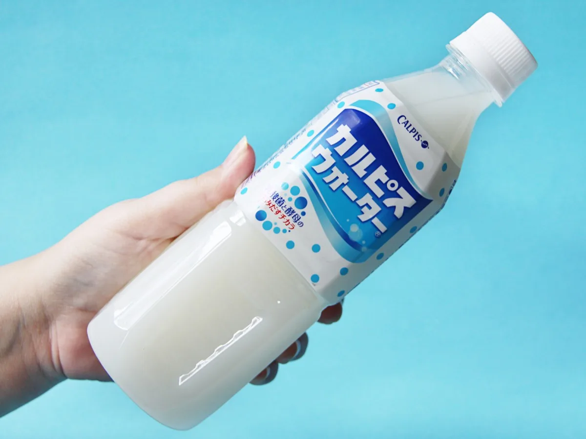 Calpico와 Calpis - 발효유 일본 음료