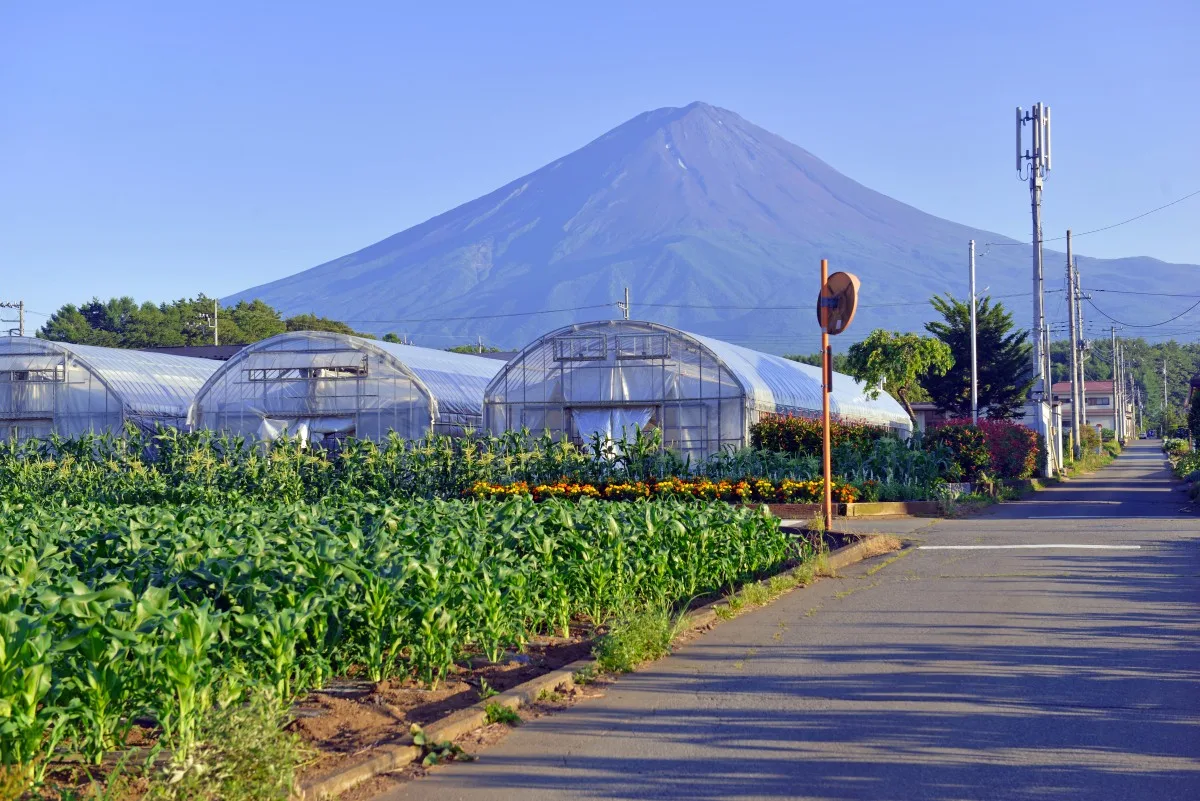 Mount Fuji as viewed from rural town in Japan