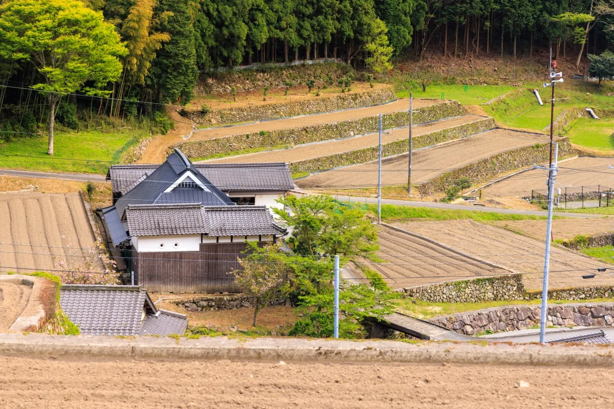 Rumah kayu tradisional Jepang di ladang padi berteras. Foto berkualitas tinggi