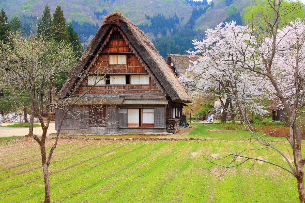Desa Jepang