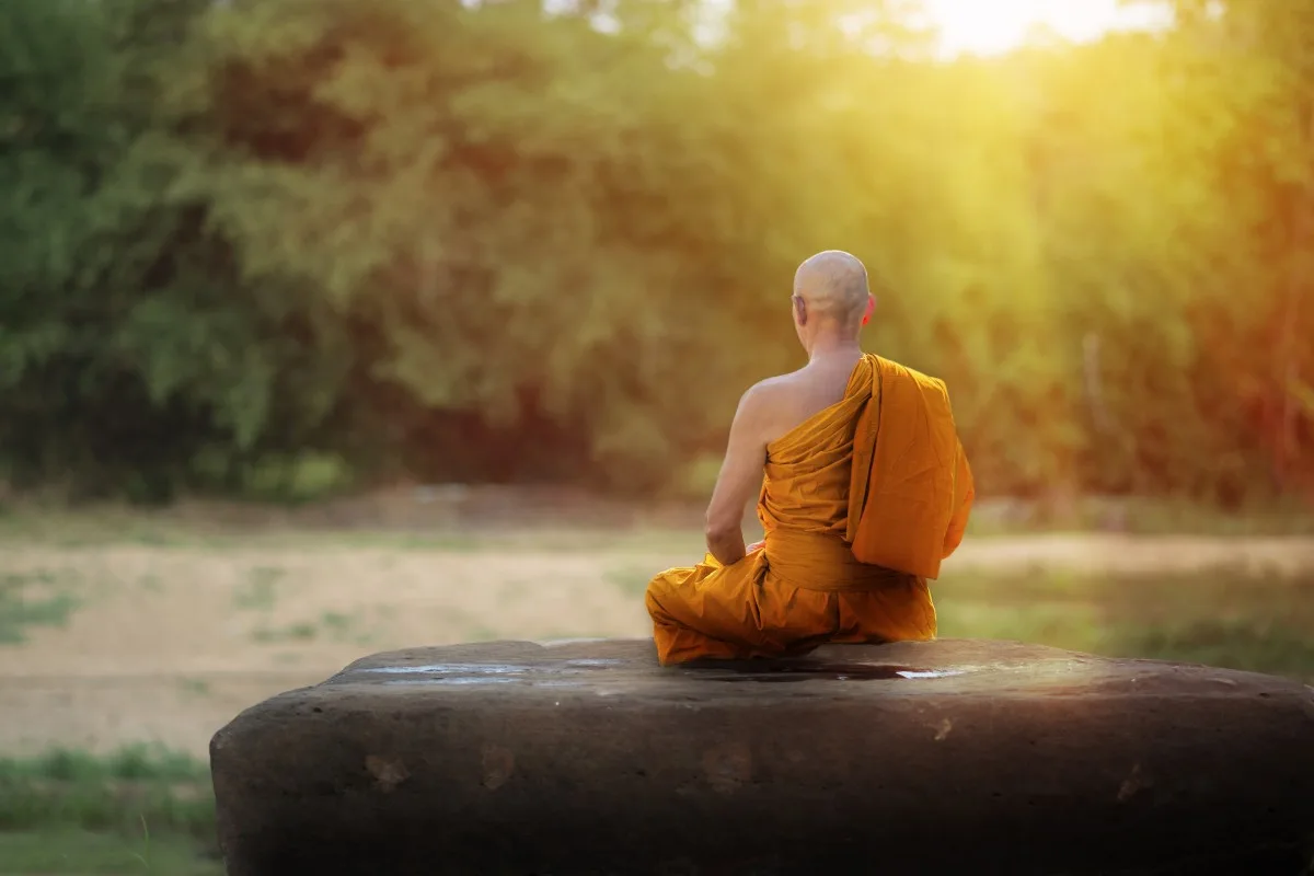 Buddha monk practice meditation in forest