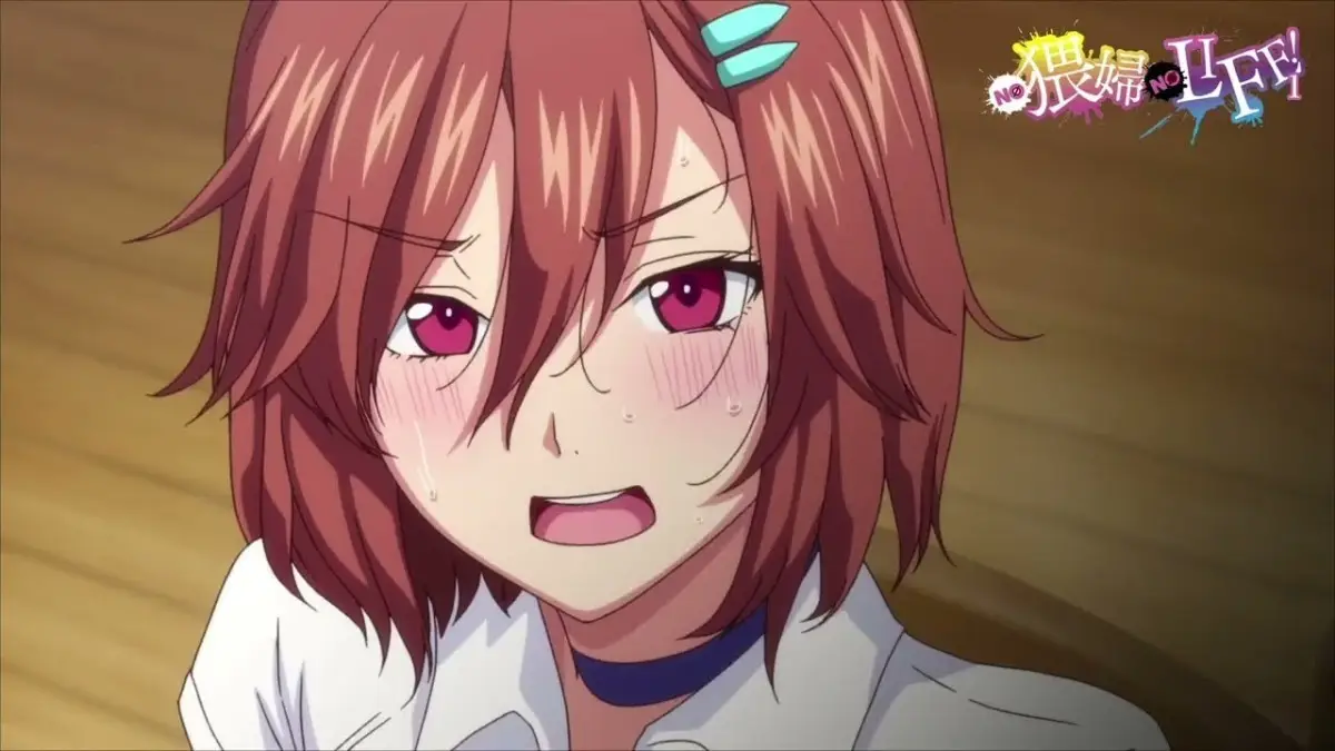Informazioni e Curiosità su No Waifu No Life