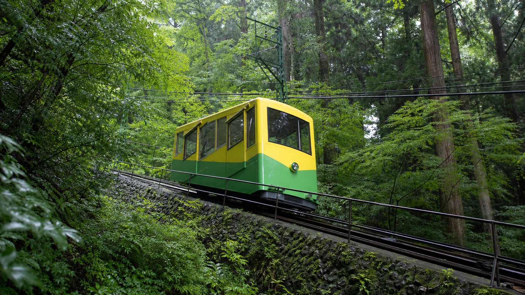 Funicular climbing through a green Japanese mountain forest