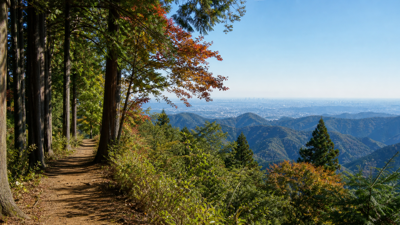 Mount Takao: history, temple, trails and facts near Tokyo